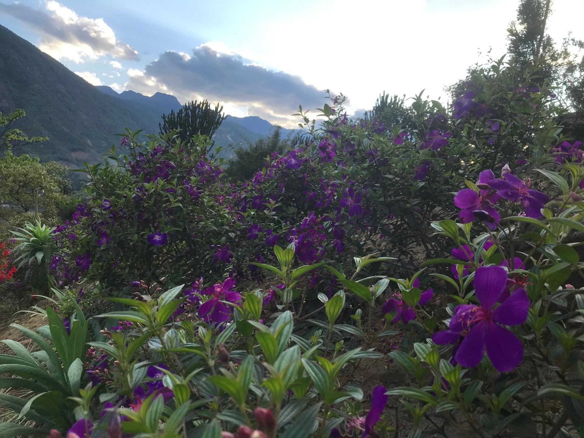 Sau Meo Mountain View Ξενοδοχείο Sapa Εξωτερικό φωτογραφία